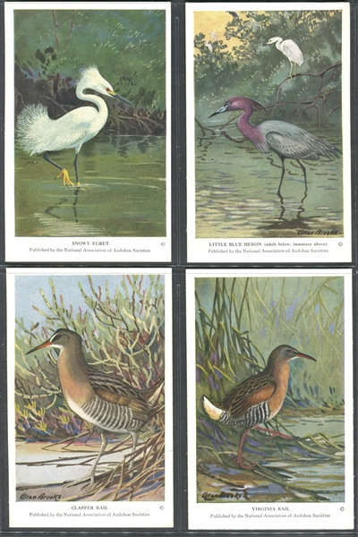 Fantastic Audubon Society Summer Birds Complete Set of (50) With Advertising Flyer