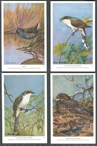 Fantastic Audubon Society Summer Birds Complete Set of (50) With Advertising Flyer