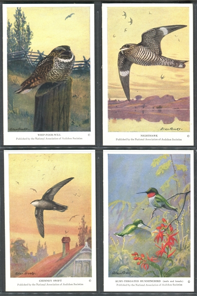 Fantastic Audubon Society Summer Birds Complete Set of (50) With Advertising Flyer