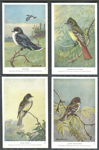 Fantastic Audubon Society Summer Birds Complete Set of (50) With Advertising Flyer