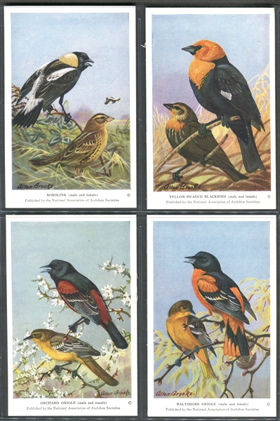 Fantastic Audubon Society Summer Birds Complete Set of (50) With Advertising Flyer