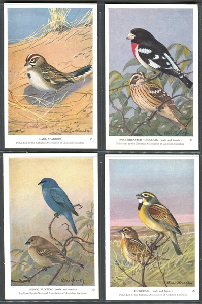 Fantastic Audubon Society Summer Birds Complete Set of (50) With Advertising Flyer