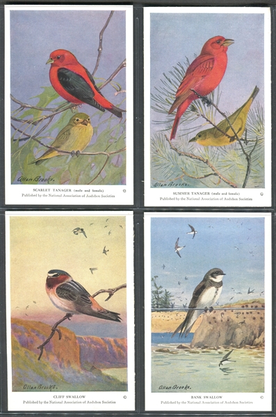 Fantastic Audubon Society Summer Birds Complete Set of (50) With Advertising Flyer