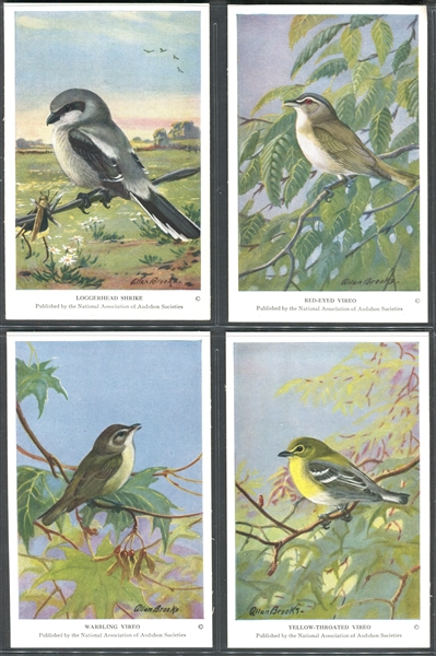 Fantastic Audubon Society Summer Birds Complete Set of (50) With Advertising Flyer