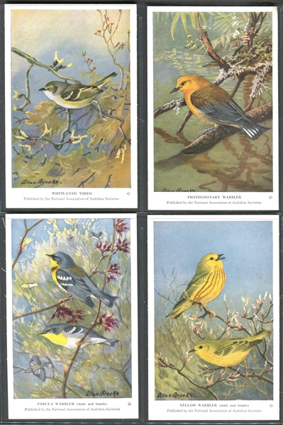 Fantastic Audubon Society Summer Birds Complete Set of (50) With Advertising Flyer