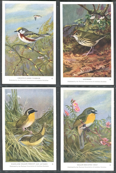 Fantastic Audubon Society Summer Birds Complete Set of (50) With Advertising Flyer