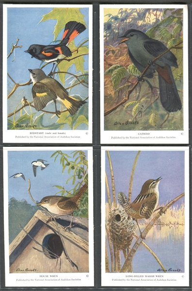 Fantastic Audubon Society Summer Birds Complete Set of (50) With Advertising Flyer