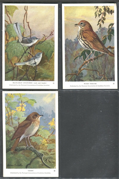 Fantastic Audubon Society Summer Birds Complete Set of (50) With Advertising Flyer