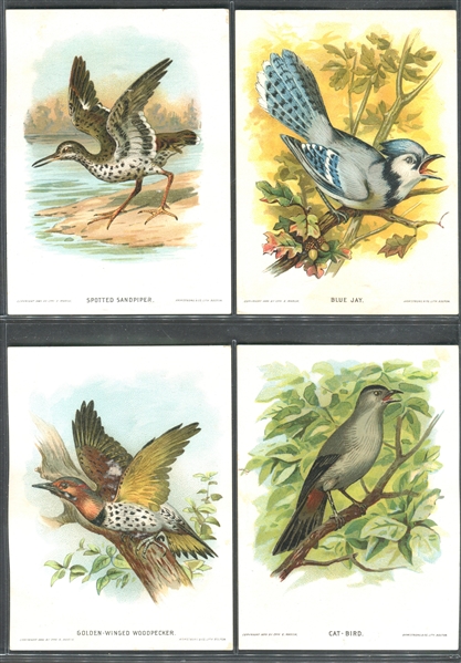 H-UNC G.E. Marsh Our Native Birds and Their Eggs Lot of (14) Cards