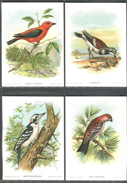 H-UNC G.E. Marsh Our Native Birds and Their Eggs Lot of (14) Cards