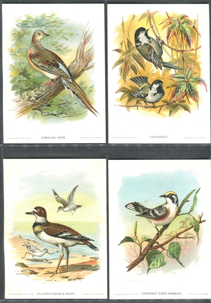 H-UNC G.E. Marsh Our Native Birds and Their Eggs Lot of (14) Cards