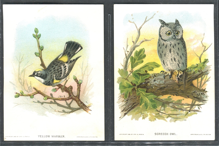 H-UNC G.E. Marsh Our Native Birds and Their Eggs Lot of (14) Cards