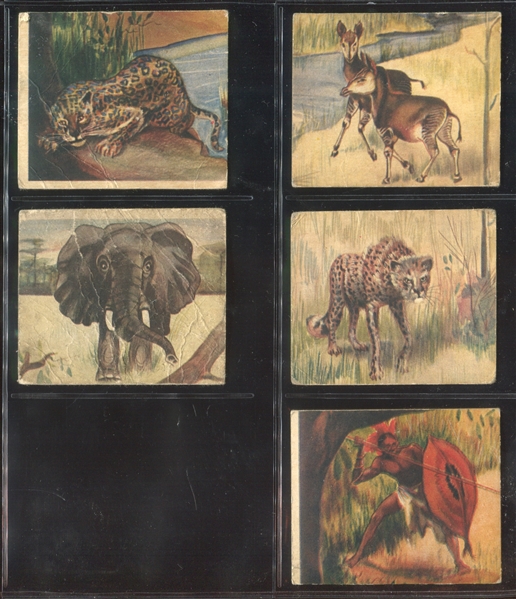 R6 National Licorice African Animal Jig Lot of (14) Cards